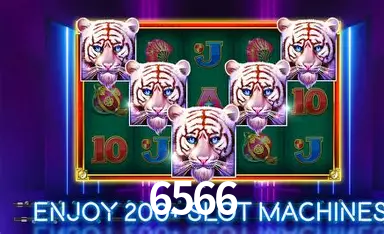 6566